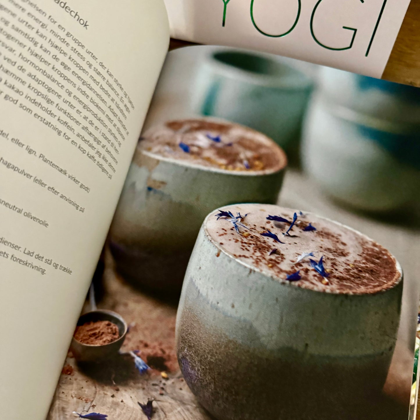 Lækker kogebog, spis som en yogi