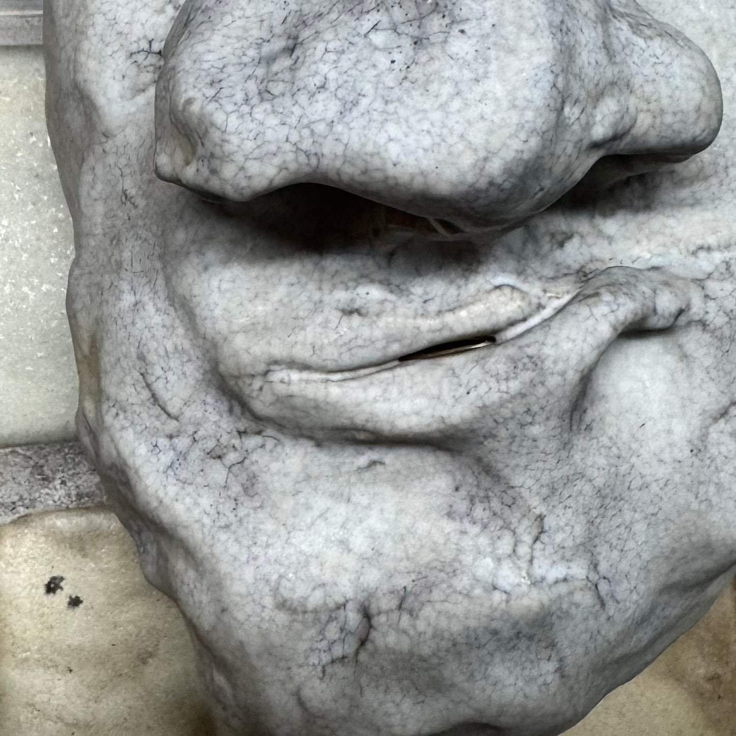 Ansigts vægophæng