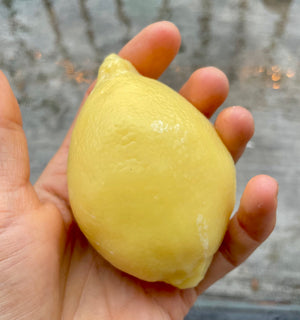 Citron sæbe