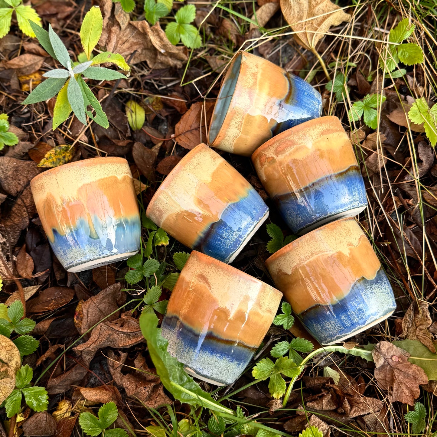 Krus med lyseblå midte.