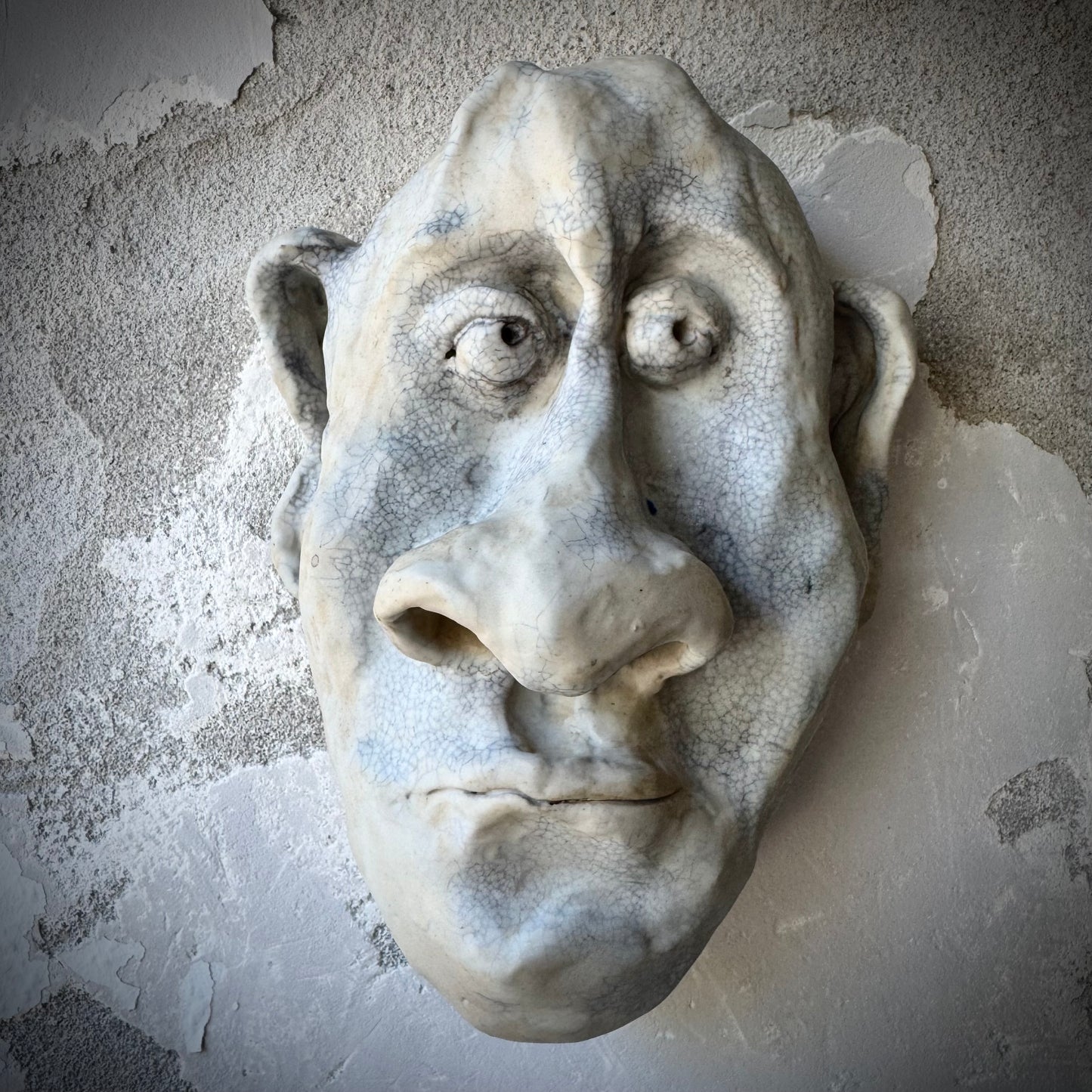 Ansigts vægophæng